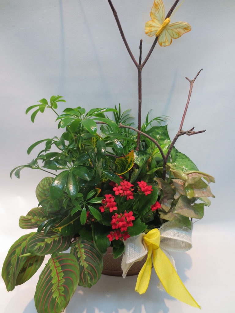 Jardin printanier