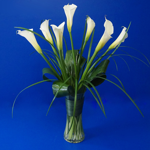 Sept callas